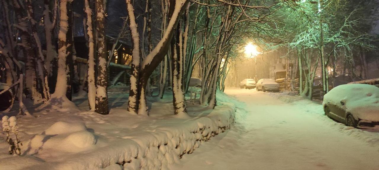 Buenavida Guesthouse Ushuaia Kültér fotó